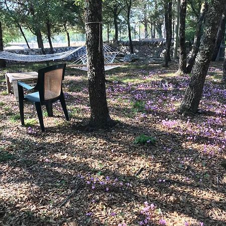 Villa Venus Woods Мартина Франка Екстериор снимка