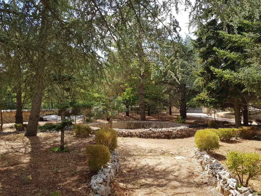 Villa Venus Woods Мартина Франка Екстериор снимка