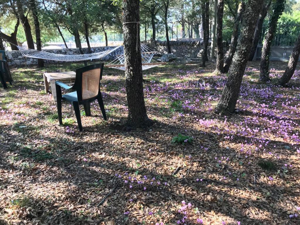 Villa Venus Woods Мартина Франка Екстериор снимка